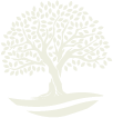 Blossom Wellbeing dry float logo